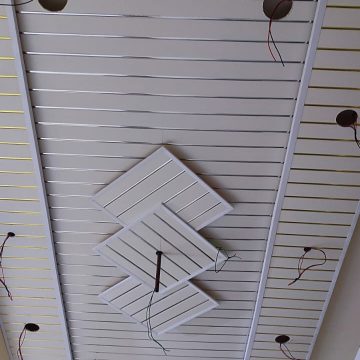 WhatsApp Image 2025-02-04 at 13.51.46_5453b3b1